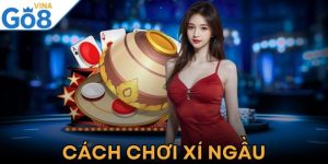 Cách Chơi Xí Ngầu - Nắm Vững Quy Tắc Trang Bị Mẹo Thắng