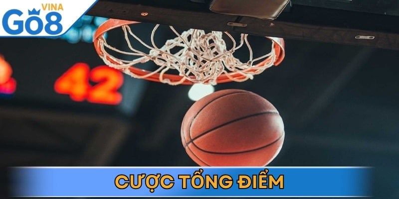 Cược tổng điểm là một trong những loại cược được yêu thích nhất