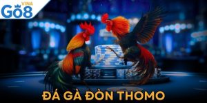 Đá Gà Đòn Thomo - Bí Kíp Cá Cược Hiệu Quả Từ Cao Thủ