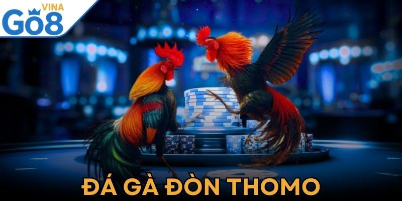 Đá Gà Đòn Thomo - Bí Kíp Cá Cược Hiệu Quả Từ Cao Thủ