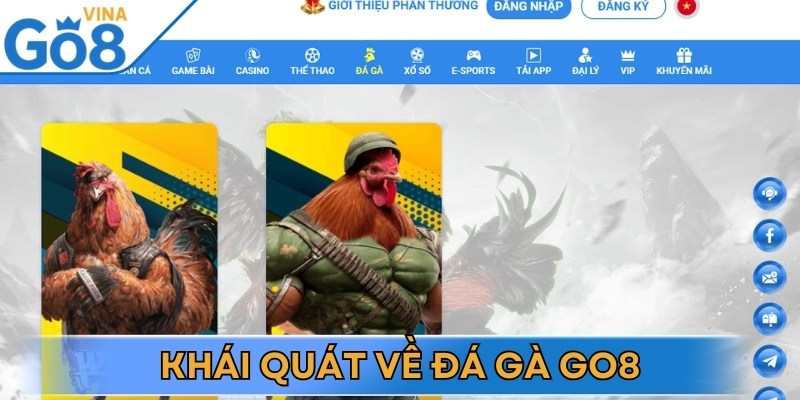 Đá gà Go8 là một trong những sảnh giải trí nổi bật được đầu tư bài bản