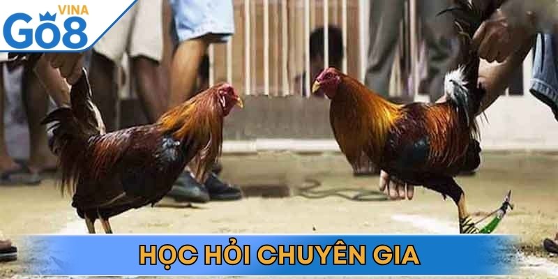 Để nâng cao trình độ anh em nên học hỏi từ các cao thủ