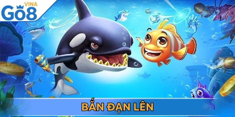 Áp dụng chiến thuật bắn đạn lên để săn cá hiệu quả