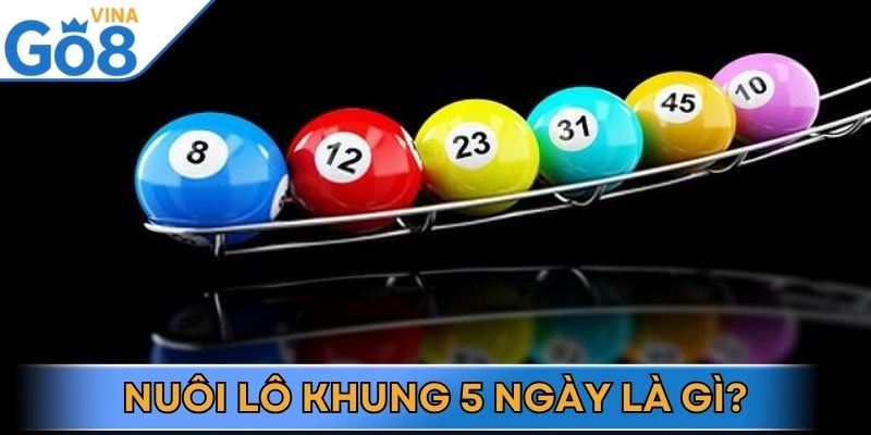 Tìm hiểu khái niệm cơ bản về phương pháp nuôi lô khung 5 ngày