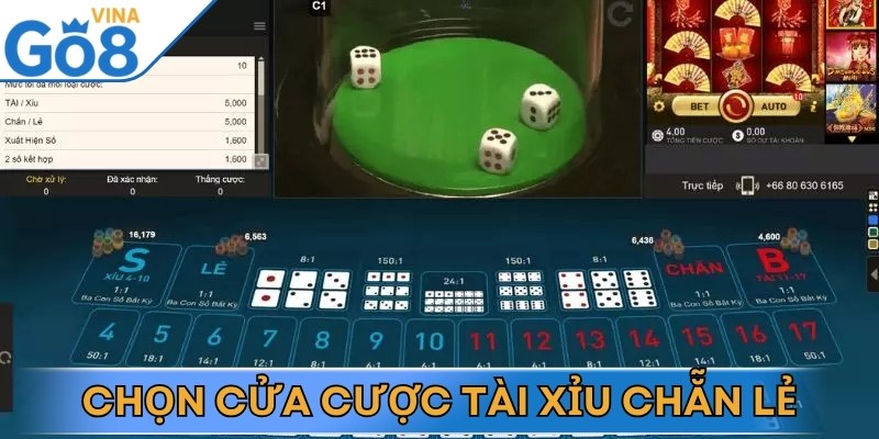 Bet thủ cân nhắc đưa ra lựa chọn cược khi bước vào ván game