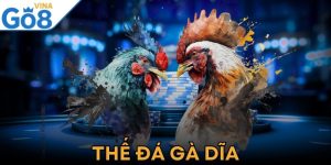 Thế Đá Gà Dĩa - Mãn Nhãn Với Những Pha So Tài Điêu Luyện