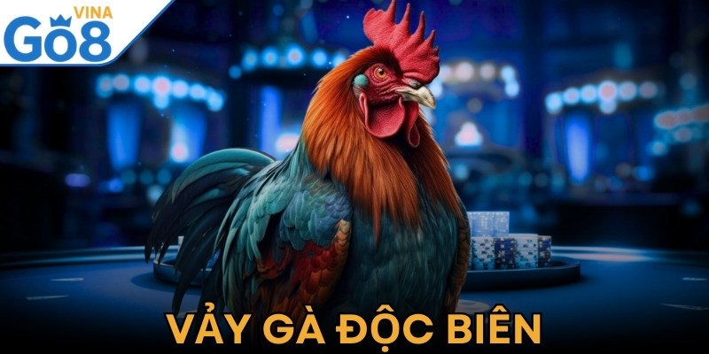 Vảy Gà Độc Biên – Bí Ẩn Sức Mạnh Của Chiến Kê Thượng Hạng