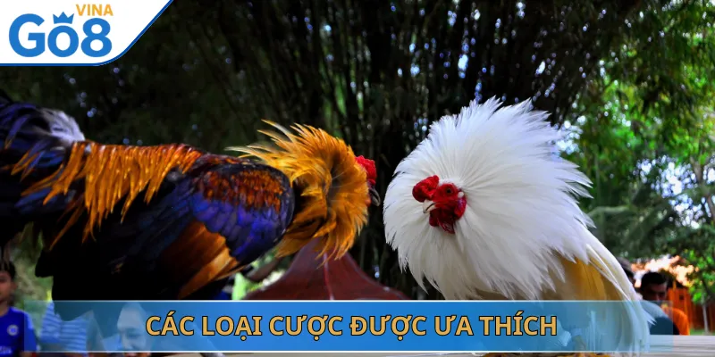 Các Loại Cược Được Ưa Thích