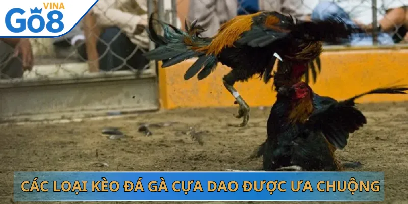 Các Loại Kèo Đá Gà Cựa Dao Được Ưa Chuộng