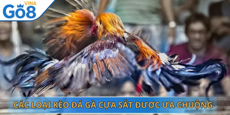 Các Loại Kèo Đá Gà Cựa Sắt Được Ưa Chuộng