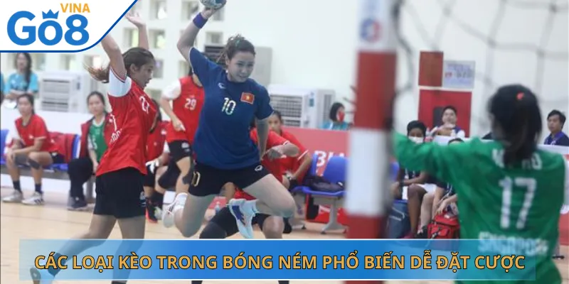 Các Loại Kèo Trong Bóng Ném Phổ Biến Dễ Đặt Cược