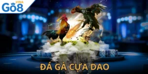 Đá Gà Cựa Dao