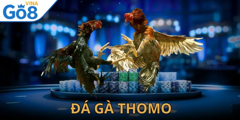 Đá Gà Thomo