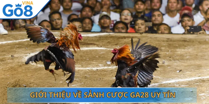 Giới Thiệu Về Sảnh Cược GA28 Uy Tín