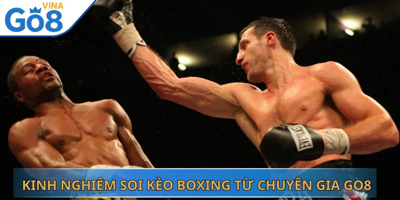 Kinh Nghiệm Soi Kèo Boxing Từ Chuyên Gia Go8
