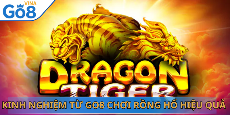 Kinh Nghiệm Từ Go8 Chơi Rồng Hổ Hiệu Quả Cho Người Mới