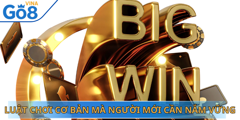 Luật Chơi Cơ Bản Mà Người Mới Cần Nắm Vững