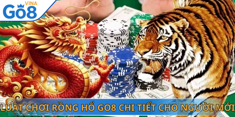 Luật Chơi Rồng Hổ Go8 Chi Tiết Cho Người Mới