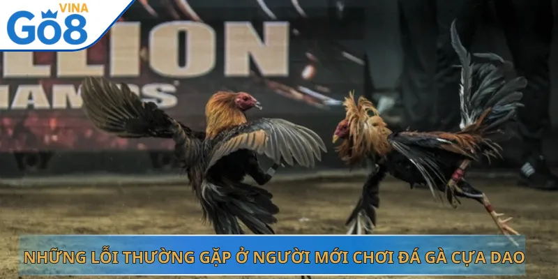 Những Lỗi Thường Gặp Ở Người Mới Chơi Đá Gà Cựa Dao