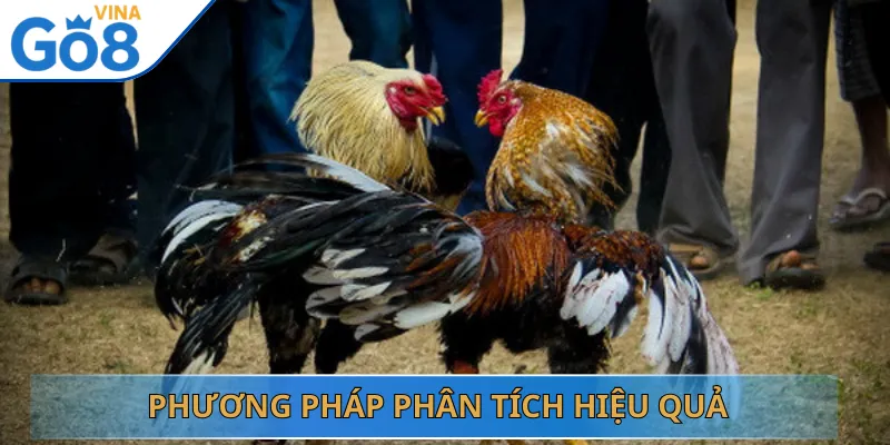 Phương Pháp Phân Tích Hiệu Quả
