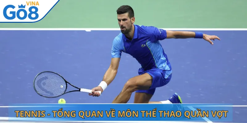 Tennis - Tổng Quan Về Môn Thể Thao Quần Vợt